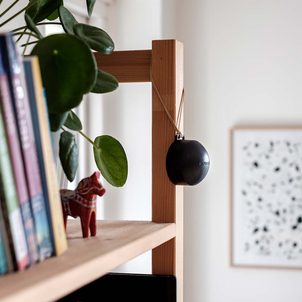 10-dagars mätning av radon - Bild 3