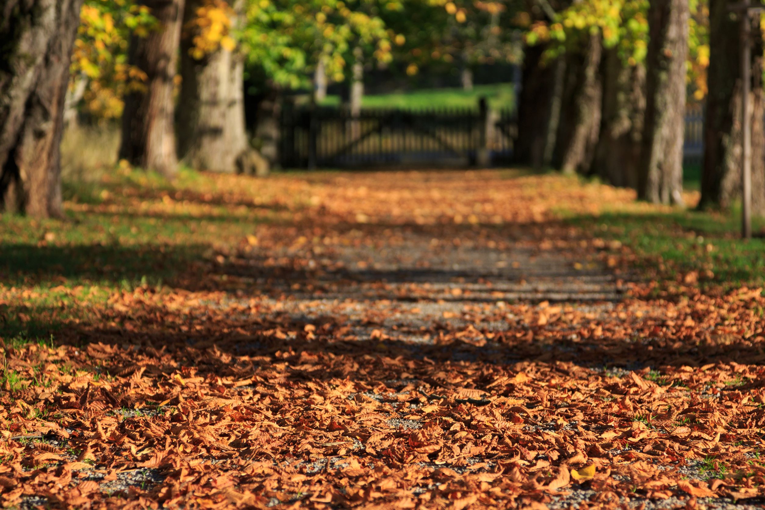 radonmätning är säsongsstyrd